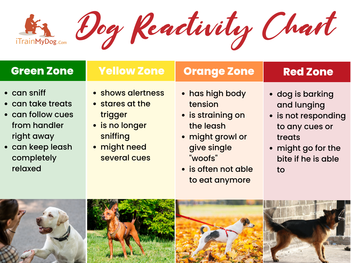 dog reactivity chart
